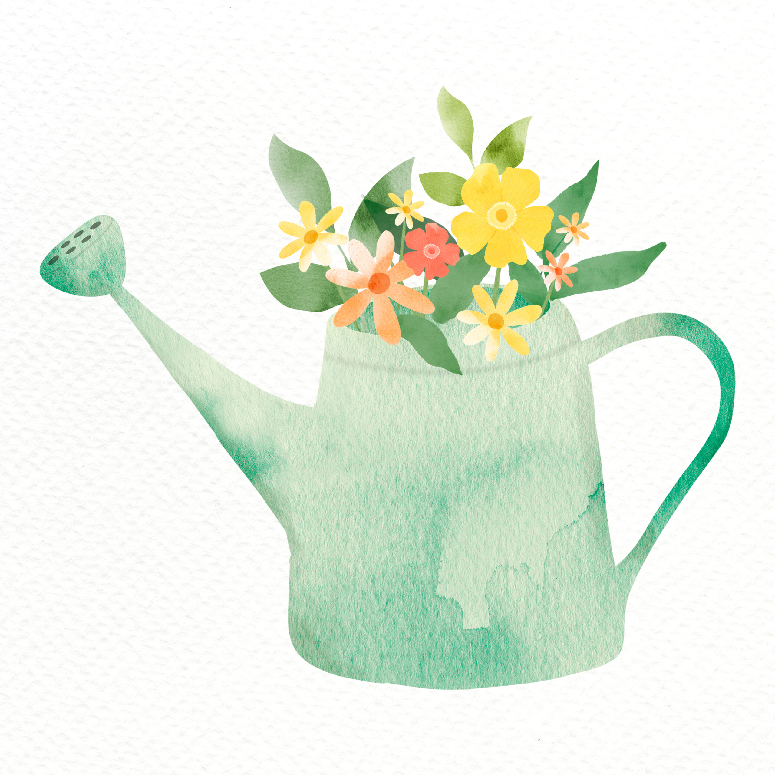 watercolor flower arrangement